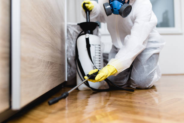 Best Residential Pest Control  in Rochester Hills, MI