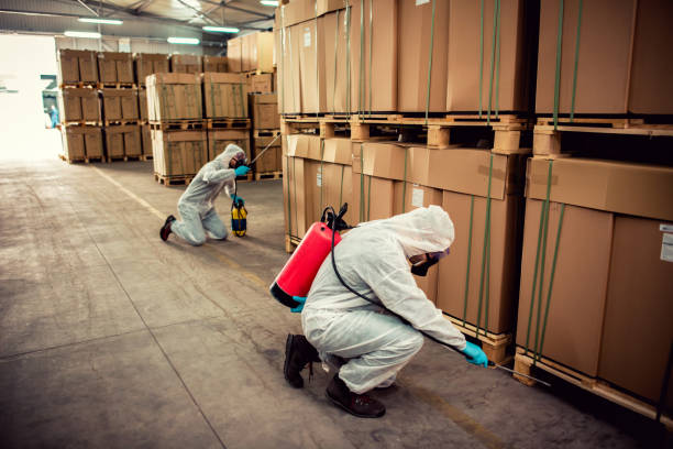 Best Flea Control Services  in Rochester Hills, MI