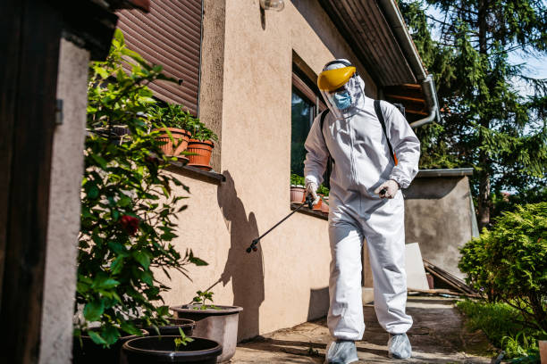Trusted Rochester Hills, MI Pest Control Experts