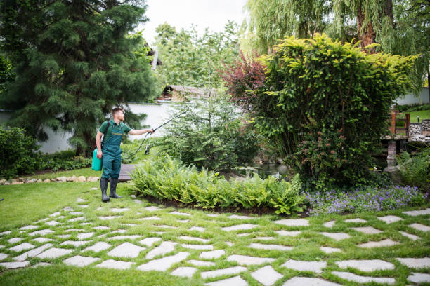 Best Affordable Pest Control Services  in Rochester Hills, MI