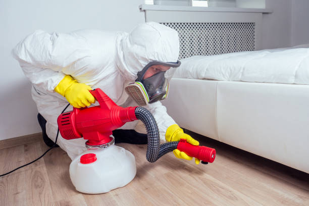 Best Pest Removal Services  in Rochester Hills, MI