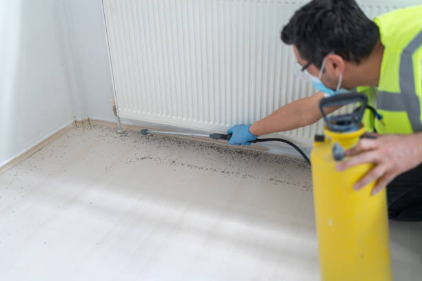 Best Pest Removal Services  in Rochester Hills, MI