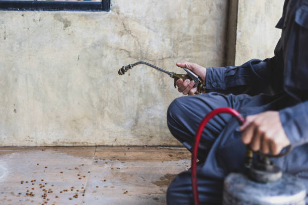 Best Pest Control Cost  in Rochester Hills, MI
